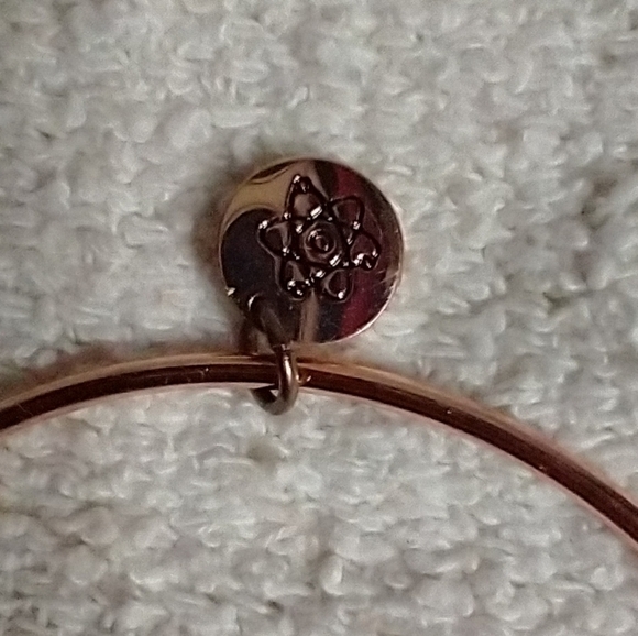 Coppertone science will not be silenced wire bracelet - Picture 5 of 6